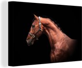 Canvas Schilderij Paard - Licht - Halster - 60x40 cm - Wanddecoratie