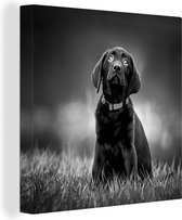 Canvas Schilderij Een zwarte Labrador Retriever die omhoog kijkt - zwart wit - 40x30 cm - Wanddecoratie