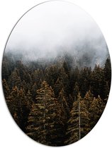 WallClassics - Dibond Ovaal - Mist boven Boomtoppen - 81x108 cm Foto op Ovaal (Met Ophangsysteem)