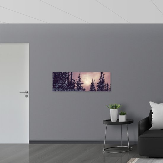 WallClassics - Verre Acrylique - Ciel Doux au-dessus d' Arbres Étroits - 120x40 cm Photo sur Verre Acrylique (Avec Système de Suspension)