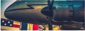 WallClassics - Poster Glanzend – Groot Vliegtuig bij Verschillende Vlaggen - 120x40 cm Foto op Posterpapier met Glanzende Afwerking