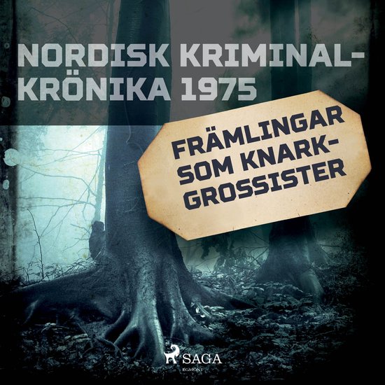 Främlingar som knarkgrossister - cover