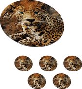 Onderzetters voor glazen - Rond - Luipaard - Dieren - Wild - 10x10 cm - Glasonderzetters - 6 stuks
