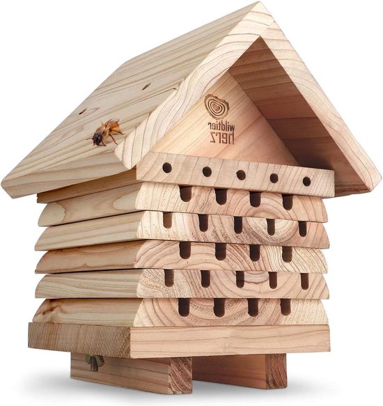 Insectenhotels en bijenhotels: alles wat je moet weten
