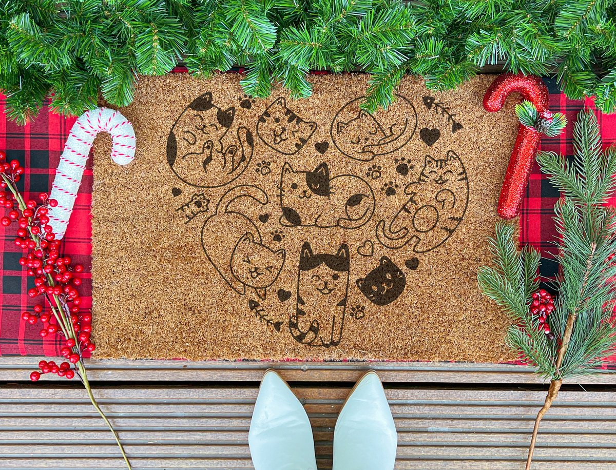 Laser Point Pawsitively Charming Meow | 60x40 cm | Nieuwe huis cadeau | Ingangsmat | Deurmat met stijl | Verhuizing cadeau | Praktisch & trendy | Perfect voor binnenkomst | Cadeau voor nieuwe woning Bruin | Zwart (Gravering 60x40)
