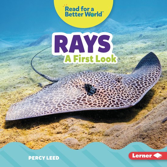 Rays - cover