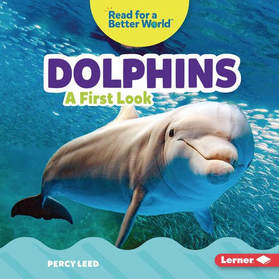 Dolphins - cover