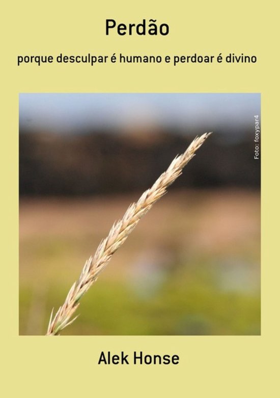 Perdão - cover