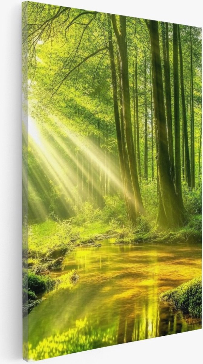 Saammp Canvas Schilderij - Moerras - Zon - Landschap - Natuur - 40x50 - Foto op canvas - Wanddecoratie - Muurdecoratie Woonkamer - Slaapkamer decoratie - Canvas Print Multicolor