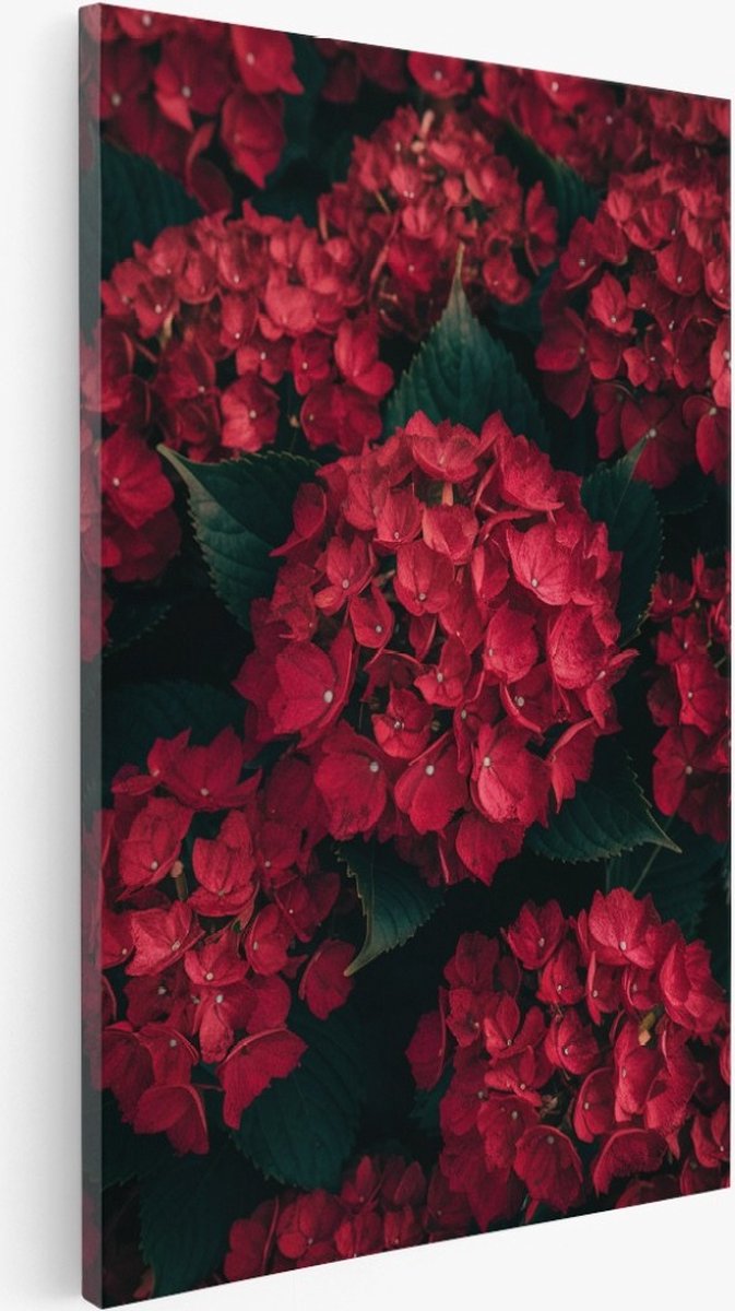Saammp Canvas Schilderij - Natuur - Rode Bloemen - 50x70 - Foto op canvas - Wanddecoratie - Muurdecoratie Woonkamer - Kantoor Decoratie Multicolor