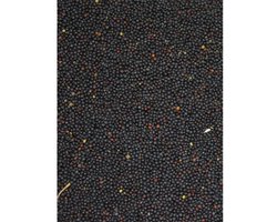 BIRD-X Vogelvoer - Koolzaad Zak 0,9 kg