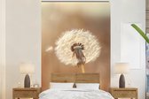 Behang - Fotobehang Paardenbloem - Beige - Natuur - Bloem - Breedte 145 cm x hoogte 220 cm