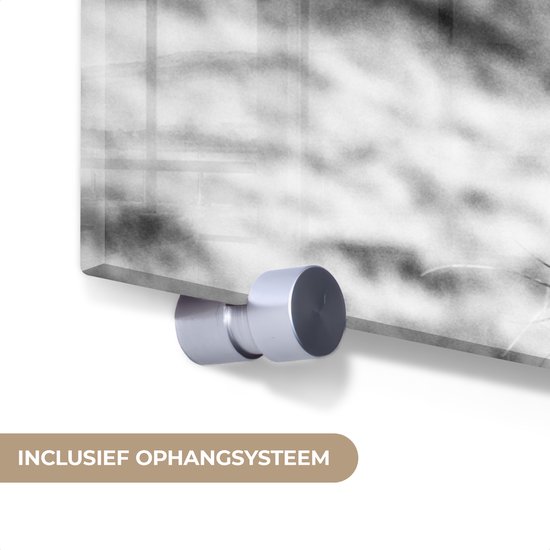 Peinture sur verre - Photo sur verre - Highlander écossais - Nature - Vache - Zwart et blanc - Verre acrylique - Décoration murale - 150x100 cm - Peinture sur verre Highlander écossais - Peinture sur verre - Décoration d'intérieur