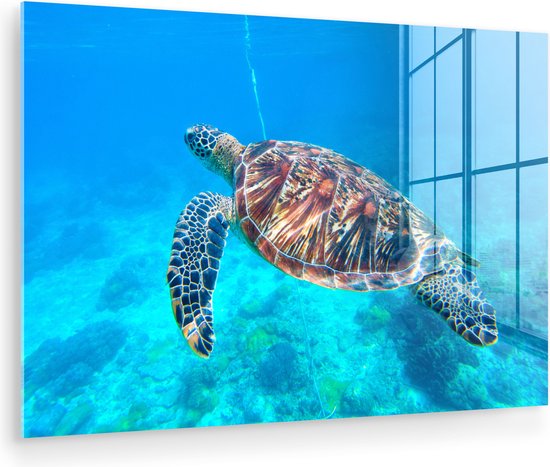 MuchoWow® Peinture sur Verre - Tortue - Mer - Blauw - 180x120 cm - Peintures sur Verre Acrylique - Photo sur Glas