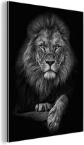 Décoration murale Métal - Aluminium Peinture Industrielle - Lion - Animaux - Zwart - Wit - 120x160 cm - Dibond - Photo sur aluminium - Décoration murale industrielle - Pour le salon / chambre