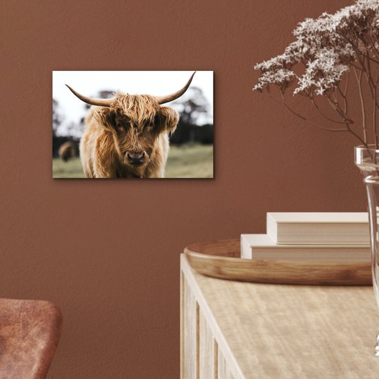 Aluminium schilderij 30x20 cm - Wanddecoratie metaal - Schotse Hooglander - Koe - Gras - Dieren - Natuur - Metalen muurdecoratie woonkamer - Decoratie industrieel - Foto op dibond - Industriële accessoires slaapkamer