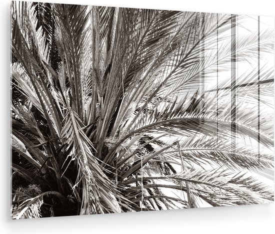 MuchoWow® Glasschilderij 120x80 cm - Schilderij acrylglas - Palmboom - Tropisch - Zwart - Wit - Foto op glas - Muurdecoratie woonkamer - Wanddecoratie slaapkamer - Schilderijen
