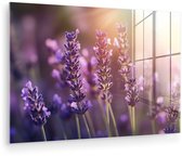 MuchoWow® Glasschilderij 180x120 cm - Schilderij acrylglas - Lavendelbloemen - Paars - Zonlicht - Foto op glas - Muurdecoratie woonkamer - Wanddecoratie slaapkamer - Schilderijen