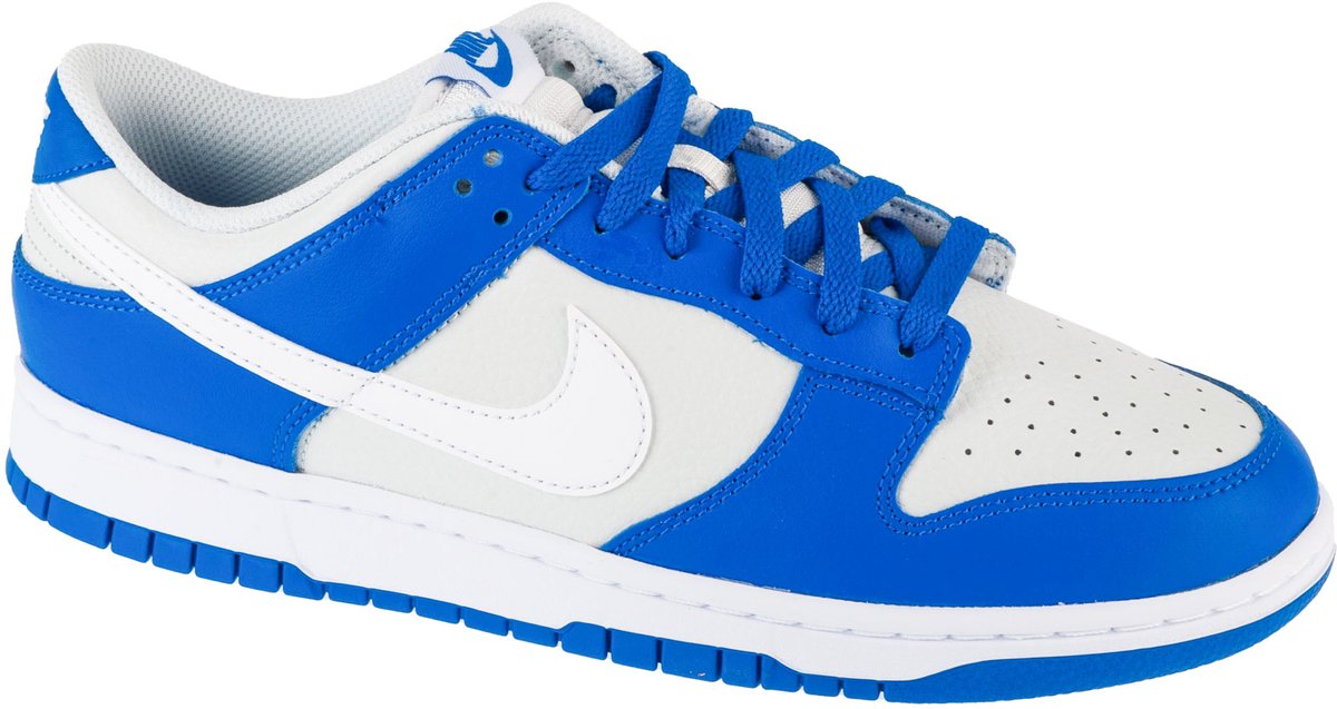 Nike Dunk Low Mannen Sneakers Grijs