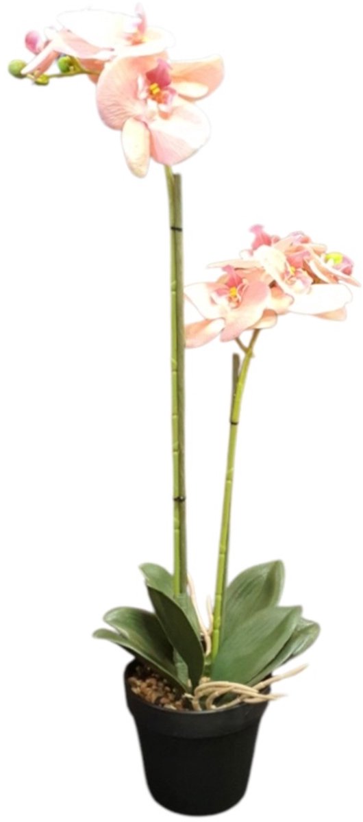 Mica Decorations kunstplant Phalaenopsis h67xD25cms Orchidee zalmon kleur Zalm ,perzik