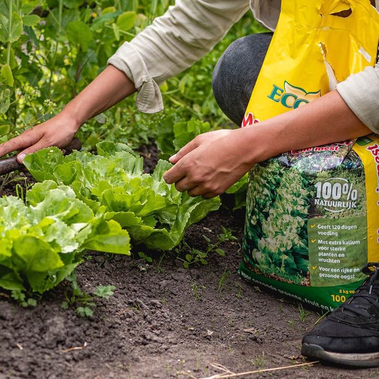 ECOStyle Moestuinmest voor Eetbare Gewassen - voor Fruit en Moestuin - Rijk aan Kalium - 120 Dagen Voeding - 80 M² - 8 KG