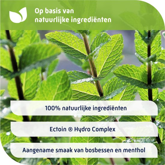 Close-up van groene muntplant bladeren. Tekst: Op basis van natuurlijke ingrediënten. 100% natuurlijke ingrediënten. Ectoin® Hydro Complex. Aangename smaak van bosbessen en menthol.