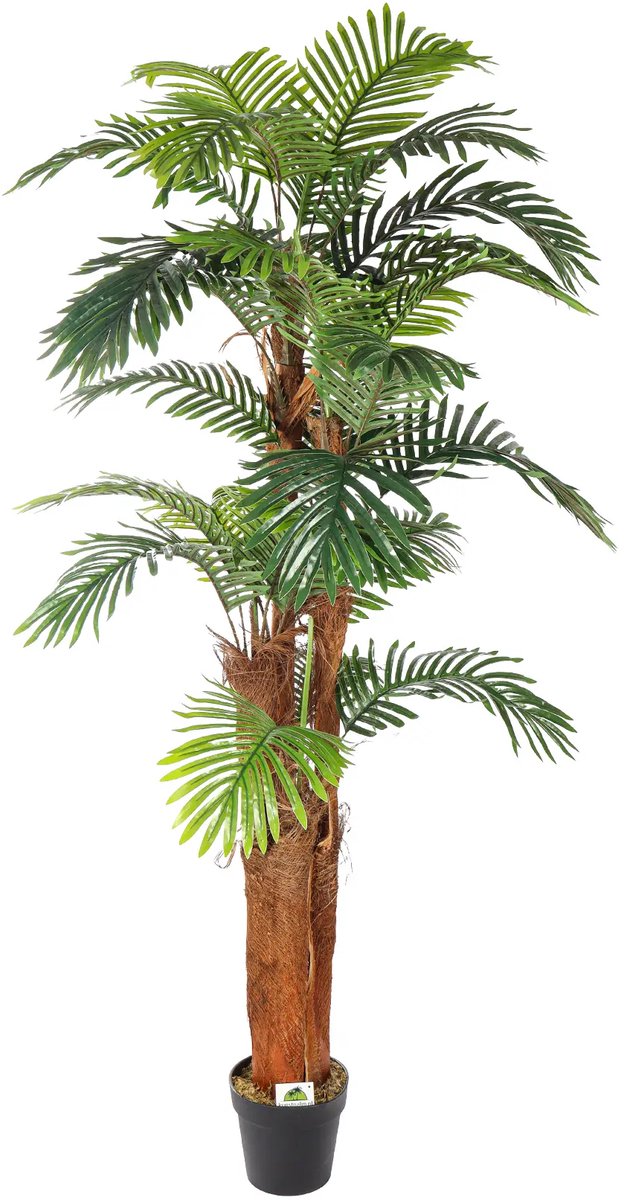 Kunstpalm Kunst Palmboom Ko Phi Phi - Namaak Palm - 180cm - Exotische kunstplant Donkerbruin