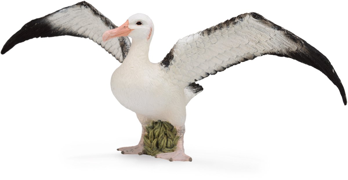 COLLECTA Figurine - Grote Albatros - (L)