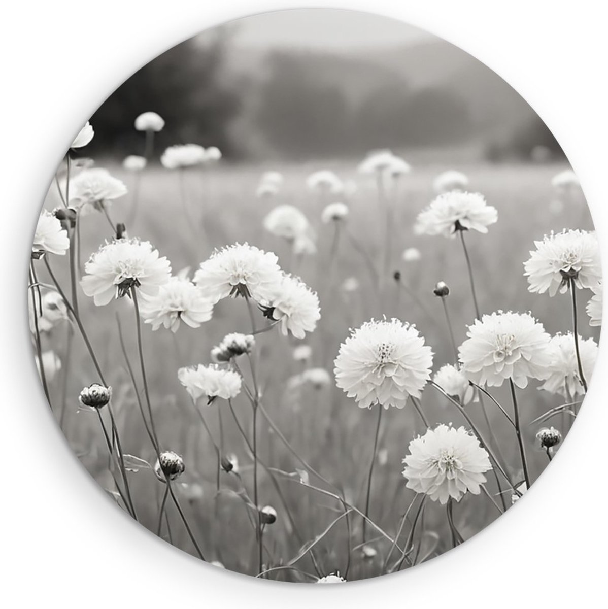 Saammp Muurcirkel Hout - Landschap - Zwart-Wit - Bloemen van dichtbij - Natuur - Ø 40 - Wandcirkel - Wanddecoratie Cirkel - Muurdecoratie Woonkamer - Slaapkamer decoratie - Rond Schilderij