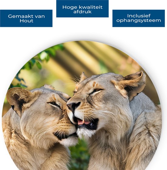 Saammp Muurcirkel Hout - Leeuwen - liefdevol - Dieren - Natuur - Ø 50 - Wandcirkel - Wanddecoratie Cirkel - Muurdecoratie Woonkamer - Slaapkamer decoratie - Rond Schilderij