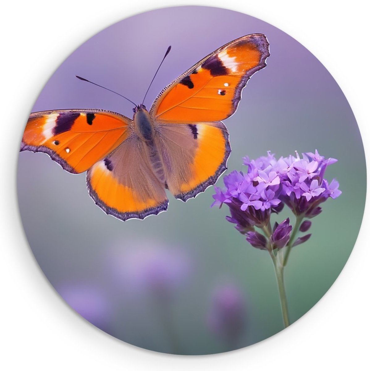 Saammp Muurcirkel Hout -Vlinder bij paarse bloem - Dieren - Abstract - Ø 70 - Wandcirkel - Wanddecoratie Cirkel - muurdecoratie Woonkamer - Slaapkamer decoratie - Rond Schilderij