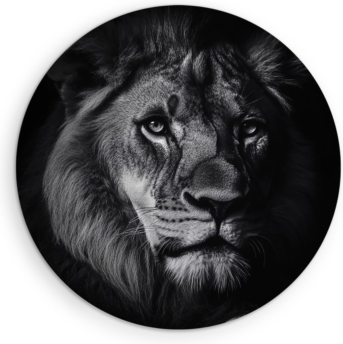 Saammp Forex Muurcirkel - Leeuwen portret - Zwart-Wit - Afrika - Dieren - Natuur - Ø 70 - Wandcirkel - Wanddecoratie Cirkel - Muurdecoratie Woonkamer - Slaapkamer decoratie - Rond Schilderij