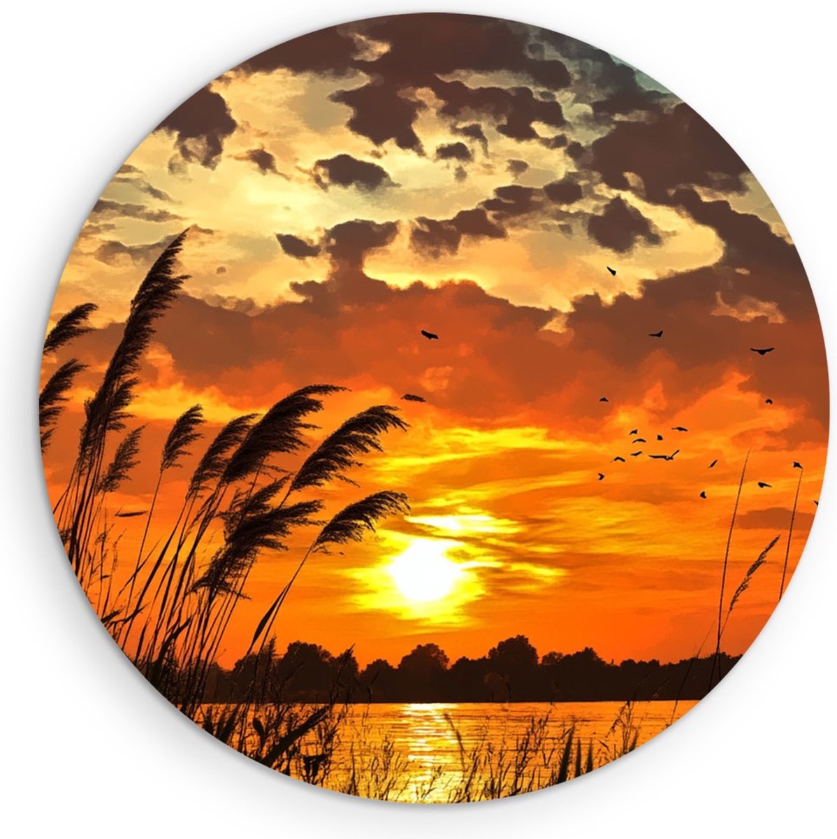 Saammp Forex Muurcirkel - Zonsondergang - Planten - Nederland - Natuur - Landschap - Ø 90 - Wandcirkel - Wanddecoratie Cirkel - Muurdecoratie Woonkamer - Slaapkamer decoratie - Rond Schilderij