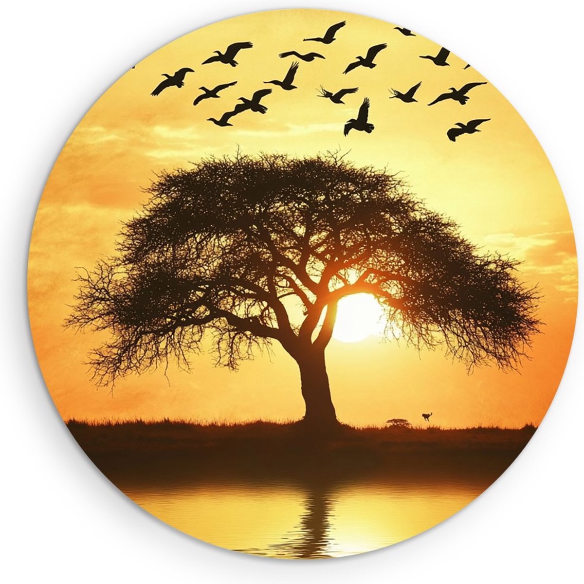 Saammp Muurcirkel Hout - Vogel bij boom - Dieren - Bloemen - Ø 70 - Wandcirkel - Wanddecoratie Cirkel - muurdecoratie Woonkamer - Slaapkamer decoratie - Rond Schilderij