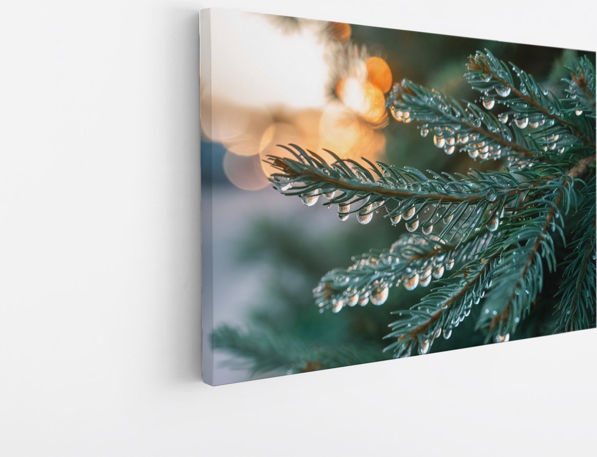 Saammp Canvas Schilderij - Natte pijnboom - Landschap - Natuur - 30x20 - Foto op canvas - Wanddecoratie - Muurdecoratie Woonkamer - Slaapkamer decoratie - Canvas Print Multicolor