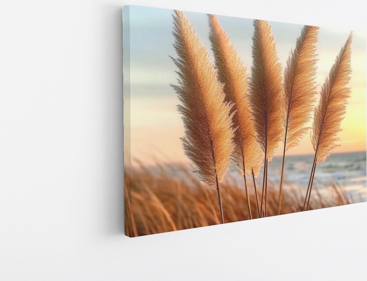 Saammp Canvas Schilderij - Pampas - Landschap - Bloemen - 120x80 - Foto op canvas - Wanddecoratie - Muurdecoratie Woonkamer - Kantoor Decoratie Multicolor