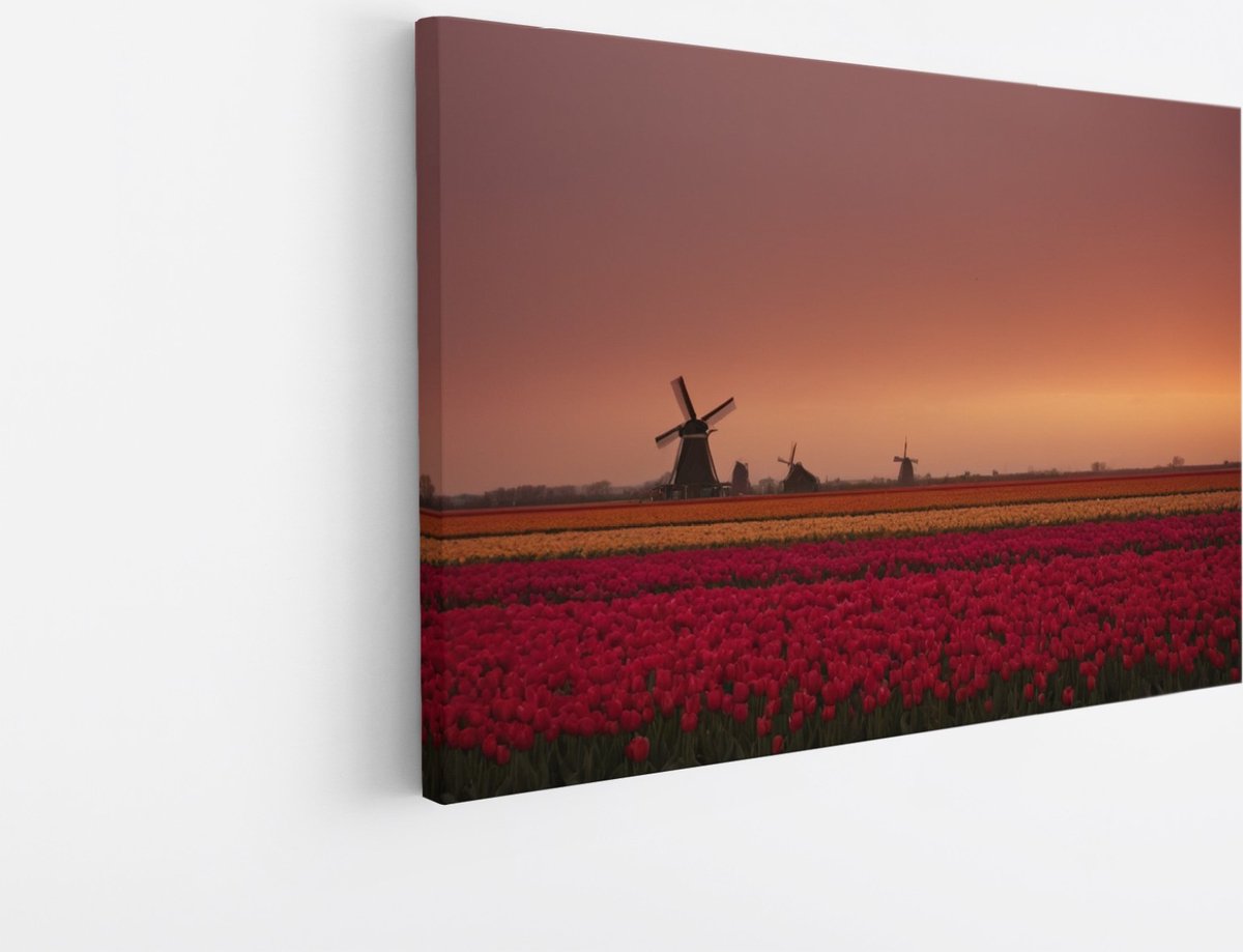 Saammp Canvas Schilderij - Landschap - bloemenveld met een molen - Natuur - 100x75 - Foto op canvas - Wanddecoratie - Muurdecoratie Woonkamer - Slaapkamer decoratie - Canvas Print Multicolor