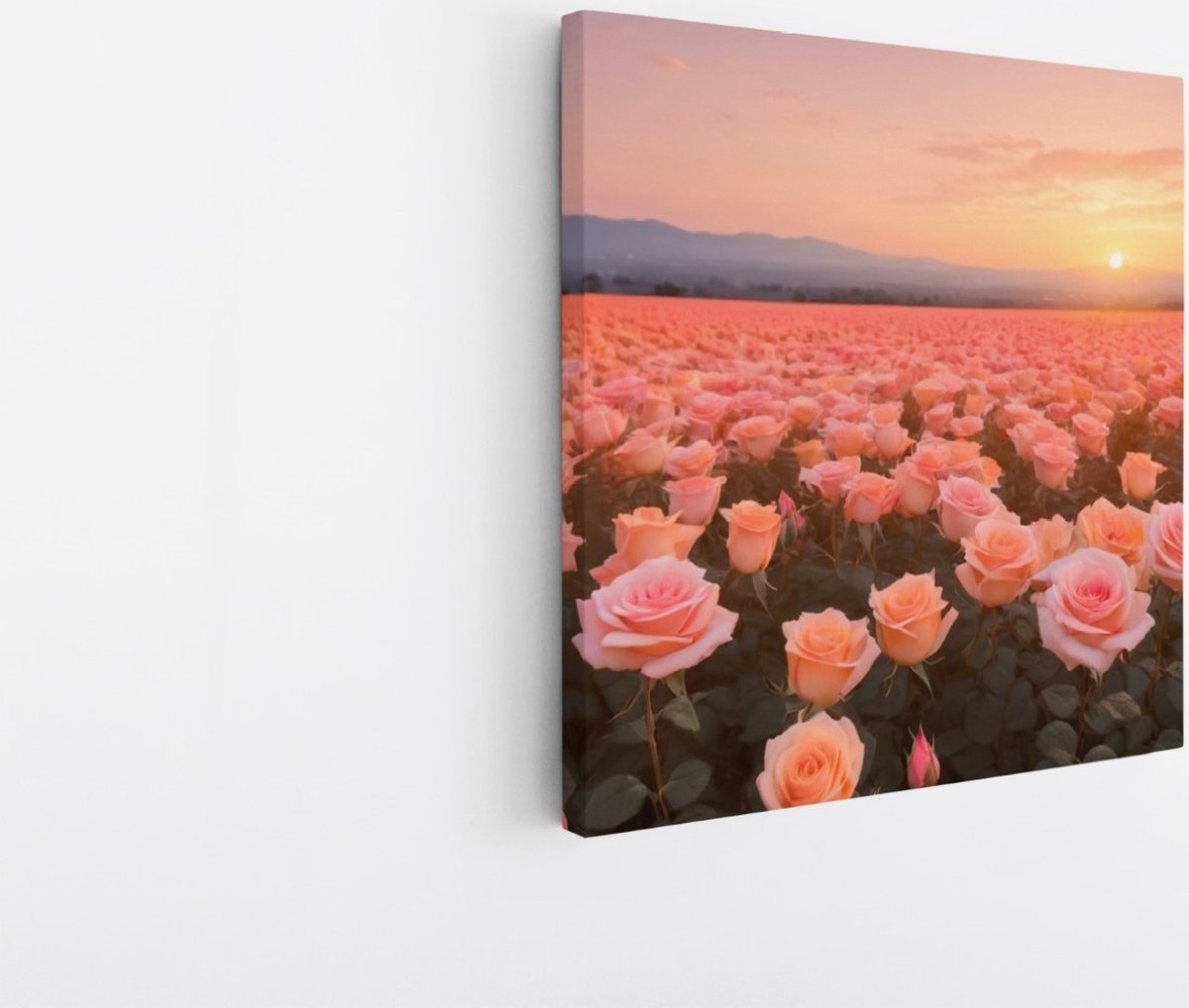 Saammp Canvas Schilderij - Landschap - Roze Bloemenveld - Natuur - 20x20 - Foto op canvas - Wanddecoratie - Muurdecoratie Woonkamer - Slaapkamer decoratie - Canvas Print Multicolor