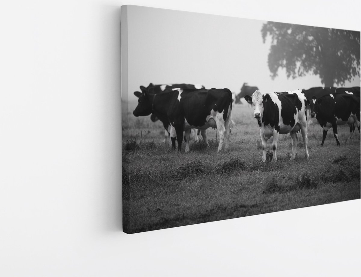 Saammp Canvas Schilderij - Koeien in wei - Natuur - Dieren - 150x100 - Foto op canvas - Wanddecoratie - Muurdecoratie Woonkamer - Slaapkamer decoratie - Canvas Print Multicolor