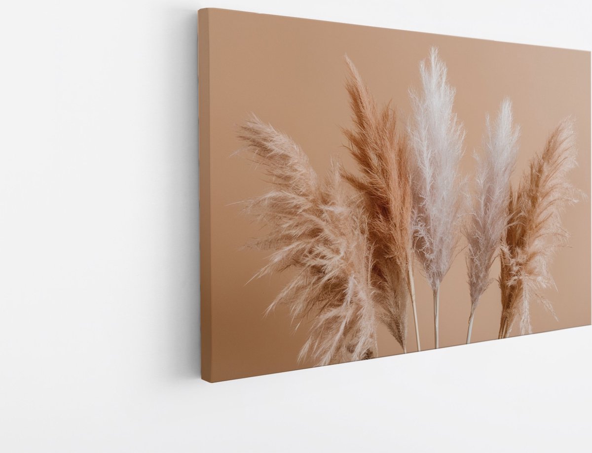 Saammp Canvas Schilderij - Pampas pluimen - Bloemen - Natuur - 30x20 - Foto op canvas - Wanddecoratie - Muurdecoratie Woonkamer - Kantoor Decoratie Multicolor