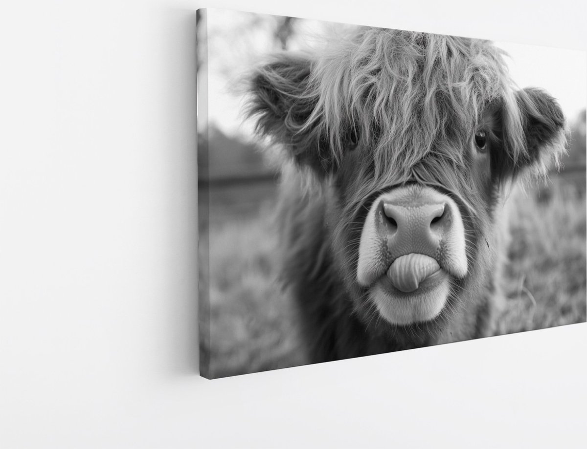 Saammp Canvas Schilderij - Schotse Hooglander Kalf - Zwart-Wit - Dieren - Landschap - 45x30 - Foto op canvas - Wanddecoratie - muurdecoratie Woonkamer - Slaapkamer decoratie - Canvas Print Multicolor