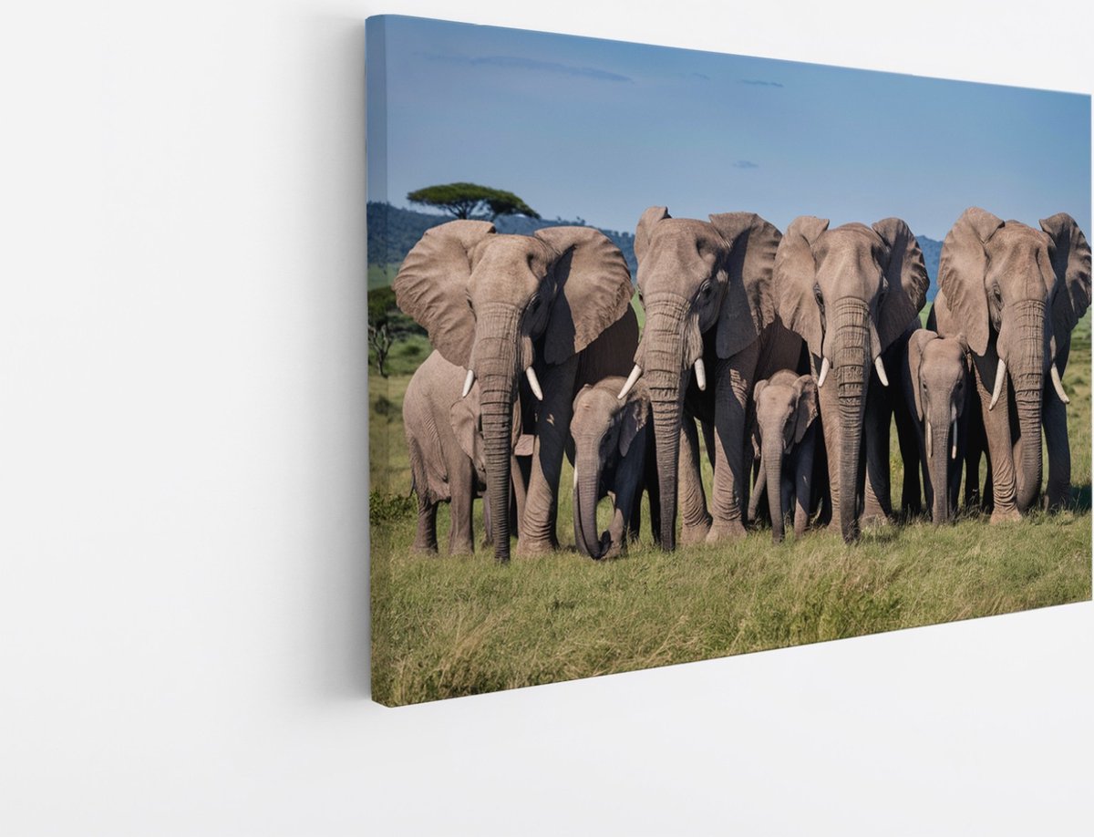 Saammp Canvas Schilderij - Grote Olifanten Familie - Afrika - Dieren - 40x30 - Foto op canvas - Wanddecoratie - muurdecoratie Woonkamer - Slaapkamer decoratie - Canvas Print Multicolor