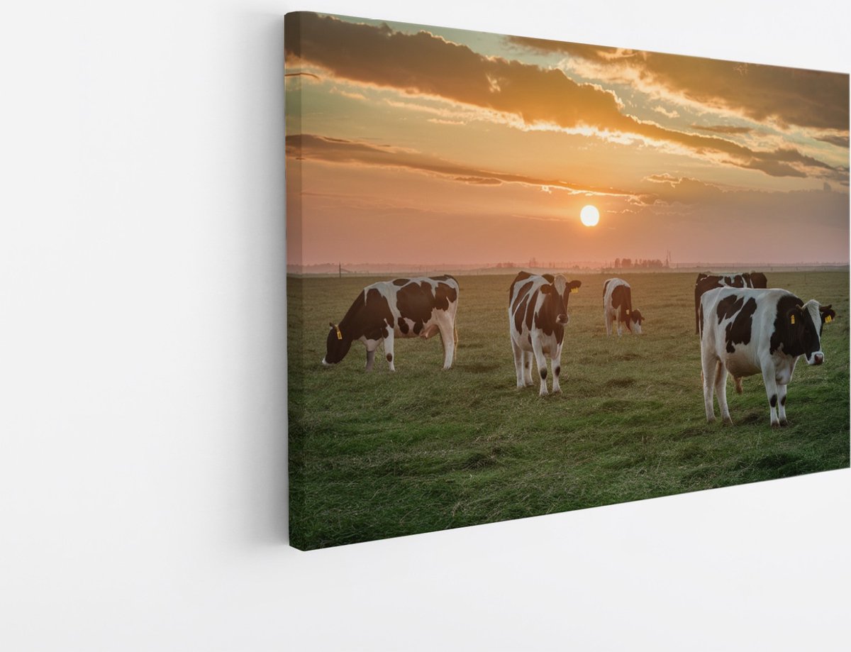 Saammp Canvas Schilderij - 4 Koeien met mooie lucht - Natuur - nederland - 120x80 - Foto op canvas - Wanddecoratie - Muurdecoratie Woonkamer - Slaapkamer decoratie - Canvas Print Multicolor
