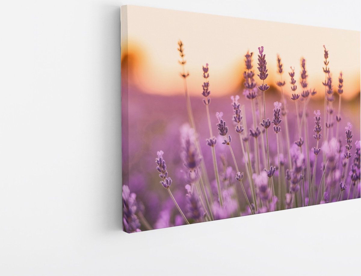 Saammp Canvas Schilderij - Lavendel Close-up - Zonsondergang - Landschap - Natuur - 120x80 - Foto op canvas - Wanddecoratie - Muurdecoratie Woonkamer - Slaapkamer decoratie - Canvas Print Multicolor