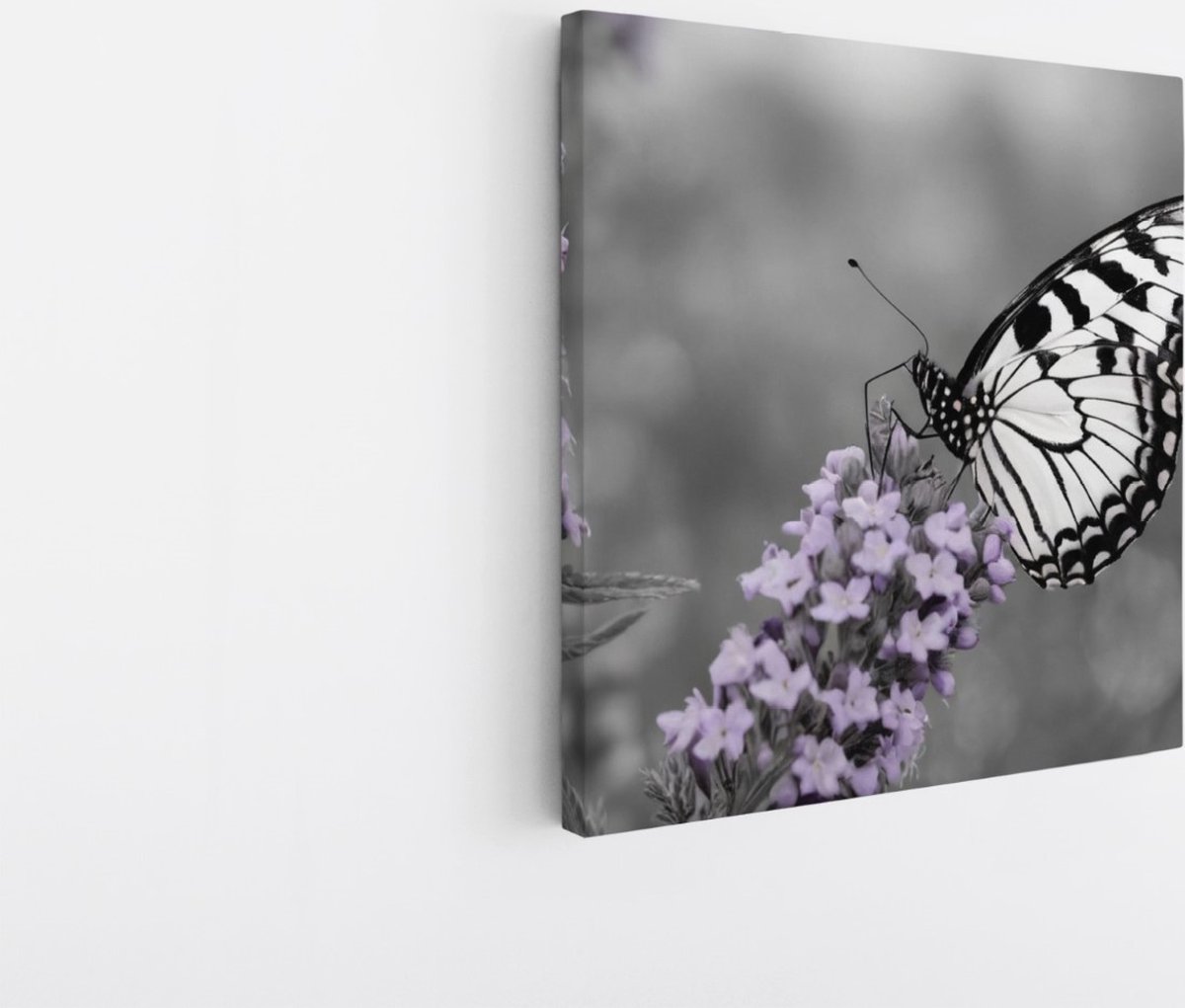 Saammp Canvas Schilderij - Paarse bloemen - vlinder - Natuur - Dieren - 40x40 - Foto op canvas - Wanddecoratie - Muurdecoratie Woonkamer - Slaapkamer decoratie - Canvas Print Multicolor
