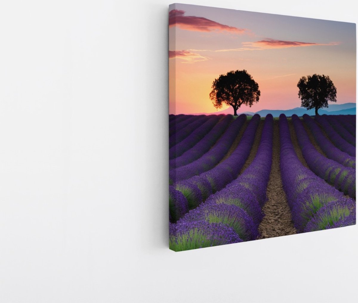 Saammp Canvas Schilderij - Kleurrijk Lavendelveld met bomen - Natuur - Landschap - 30x30 - Foto op canvas - Wanddecoratie - Muurdecoratie Woonkamer - Slaapkamer decoratie - Canvas Print Multicolor