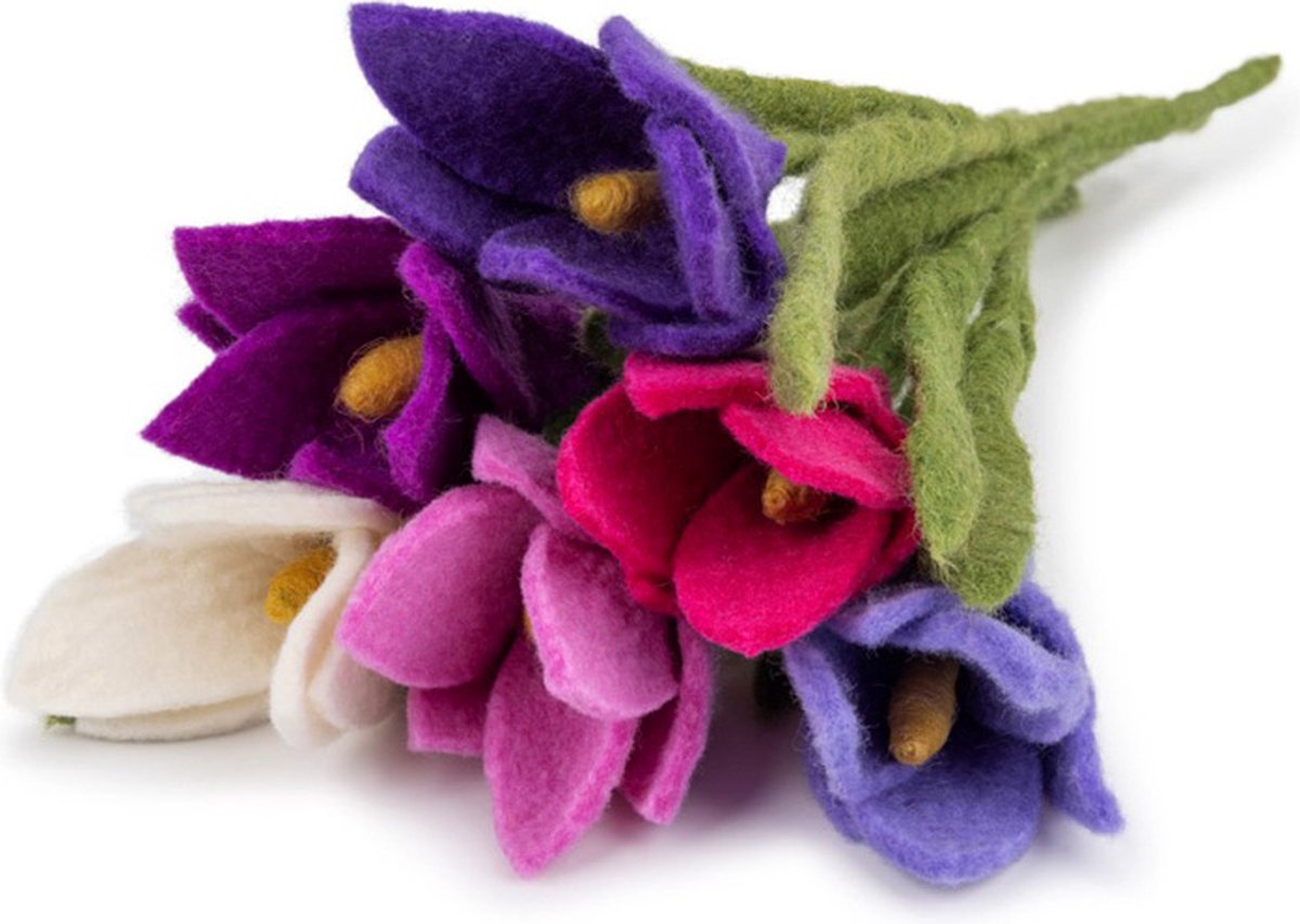 Sjaal met Verhaal Bloemen Wolvilt - Krokus Set 6 Stuks - Wit&Roze&Lila&Fuchsia&Paars&Cyclaam - 25cm - Duurzaam & Fairtrade Homedecoratie Krokus-Set-Wit/Roze/Lila/Fuchsia/Paars/Cyclaam