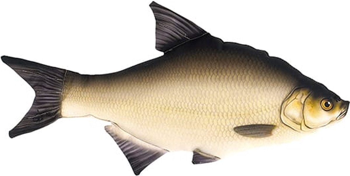 Gaby The Common Bream Mini - S