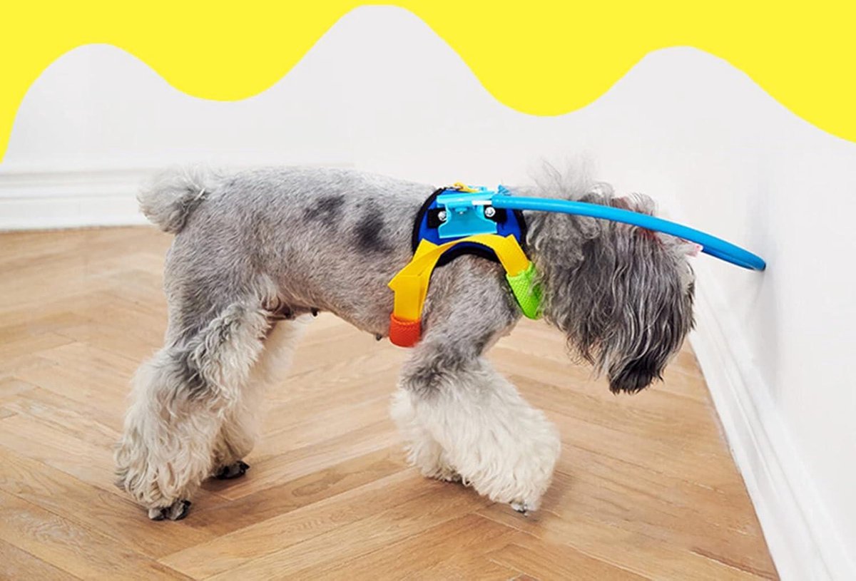 Blinde hond Halo - verstelbare mobiliteitshulp voor huisdieren, blinde hond assistent apparaat | Lichtgewicht halo-harnas voor slechtziende honden, veilige anti-botsring voor blinde hondennavigatie