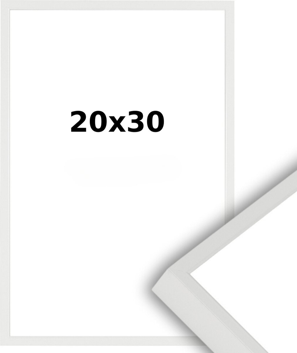 Lichtendonk Aluminium Wissellijst 20 x 30 Wit - Ontspiegeld Glas - Professional